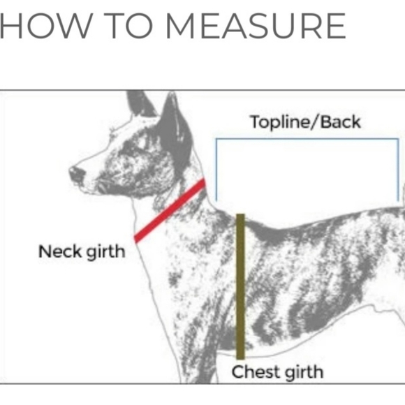 DOG HALLOWEEN PUMPKIN 🎃 COSTUME BY WAGBY - Picture 6 of 11